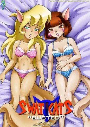 Swat Kats-Busted Palcomix