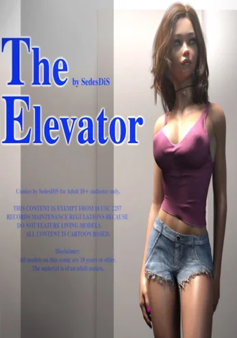 SedesDiS – The Elevator